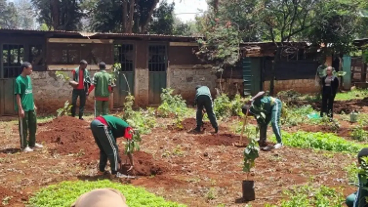 Students planting seedlings in the school environmental garden