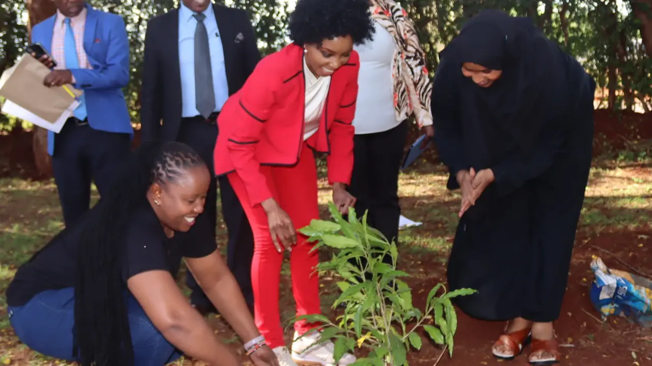 Tree-planting activity